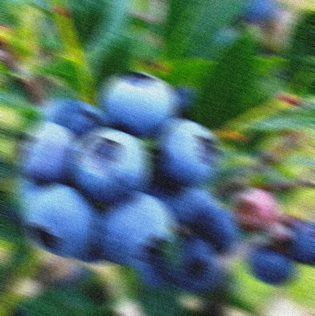 Fruité et léger