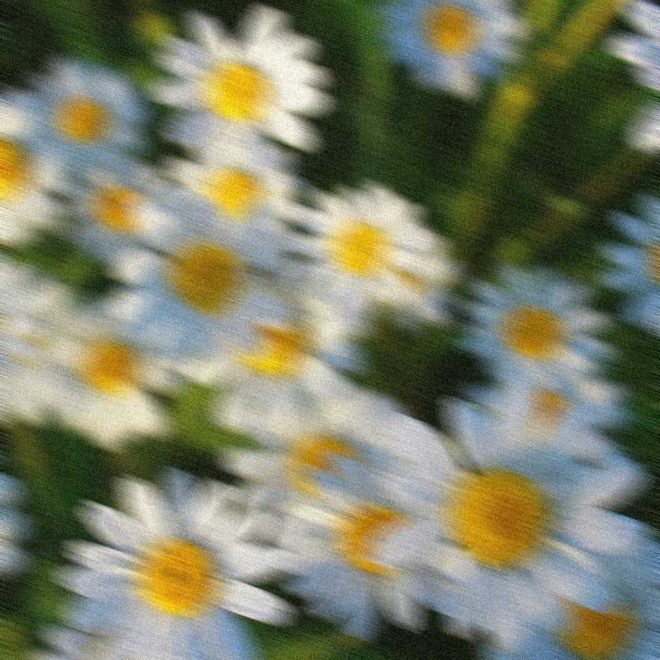 Aromatique et floral